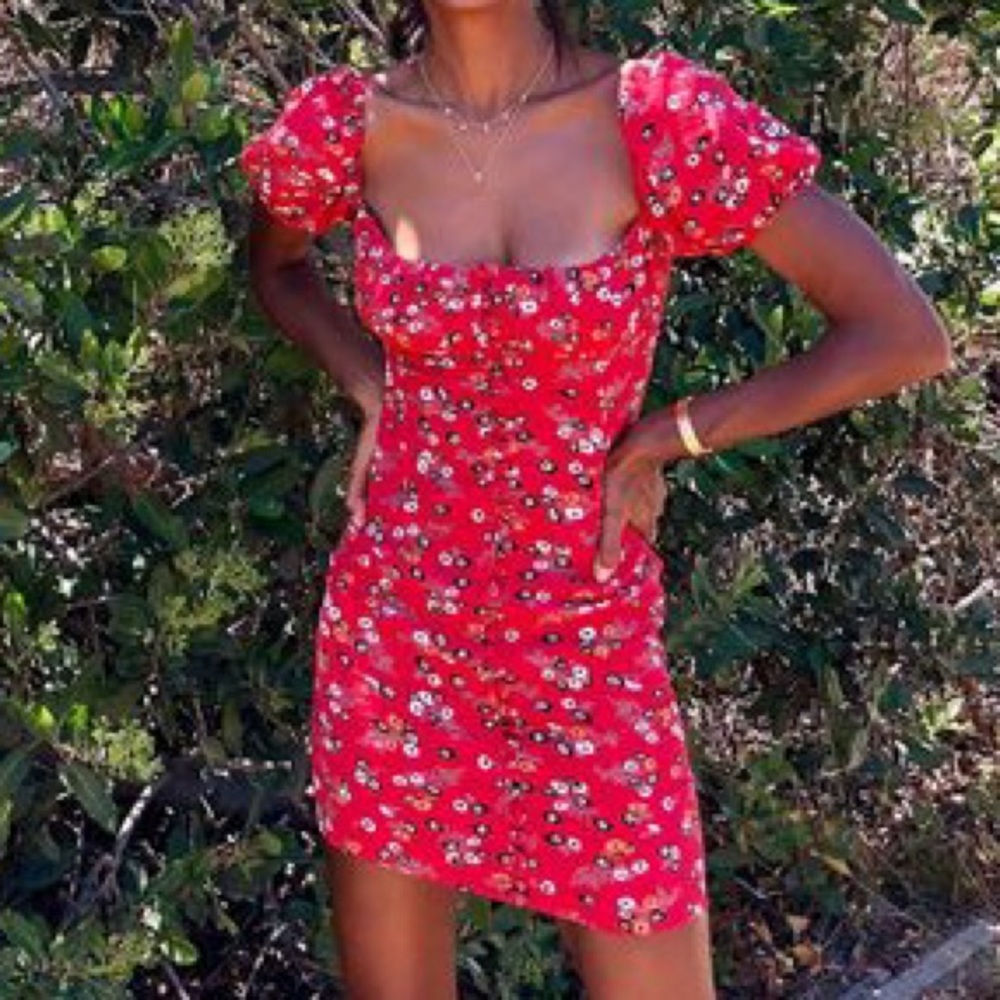 Rat & Boa Red Mini Dress — Bambi Dress